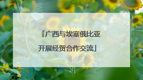 广西与埃塞俄比亚开展经贸合作交流
