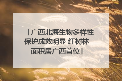 广西北海生物多样性保护成效明显 红树林面积居广西首位