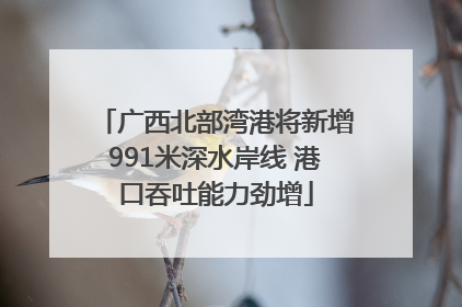 广西北部湾港将新增991米深水岸线 港口吞吐能力劲增