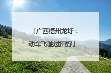 广西梧州龙圩：动车飞驰过田野
