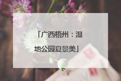 广西梧州：湿地公园夏景美