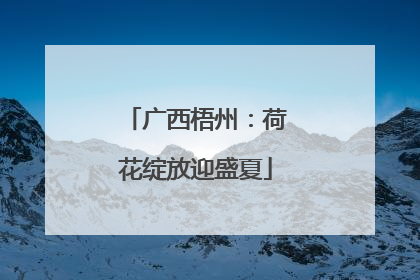 广西梧州：荷花绽放迎盛夏