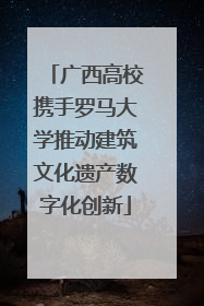广西高校携手罗马大学推动建筑文化遗产数字化创新
