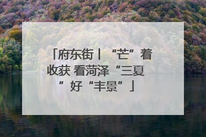 府东街丨“芒”着收获 看菏泽“三夏”好“丰景”
