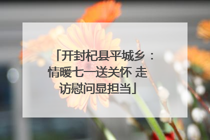 开封杞县平城乡：情暖七一送关怀 走访慰问显担当