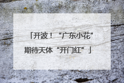 开波！“广东小花”期待天体“开门红”
