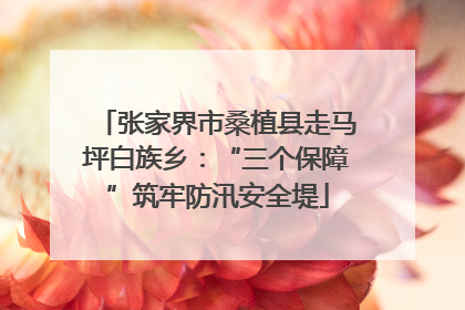 张家界市桑植县走马坪白族乡：“三个保障”筑牢防汛安全堤
