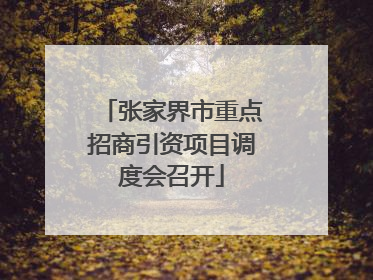 张家界市重点招商引资项目调度会召开