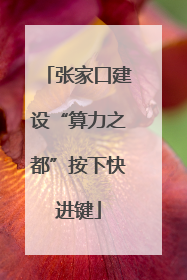 张家口建设“算力之都”按下快进键