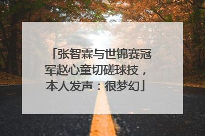 张智霖与世锦赛冠军赵心童切磋球技，本人发声：很梦幻