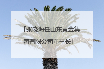 张晓海任山东黄金集团有限公司董事长