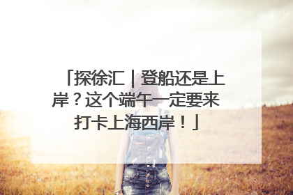 探徐汇｜登船还是上岸？这个端午一定要来打卡上海西岸！