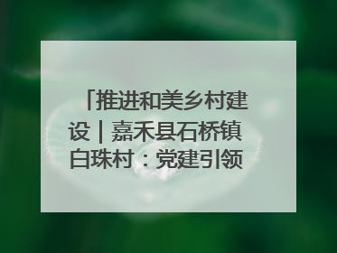 推进和美乡村建设｜嘉禾县石桥镇白珠村：党建引领破“空”局 乡贤聚力绘就新图景
