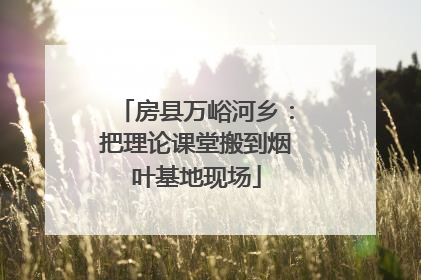 房县万峪河乡：把理论课堂搬到烟叶基地现场