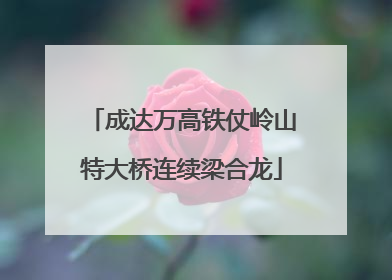 成达万高铁仗岭山特大桥连续梁合龙