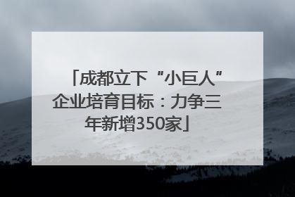 成都立下“小巨人”企业培育目标：力争三年新增350家