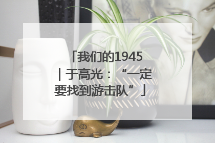 我们的1945｜于高光：“一定要找到游击队”