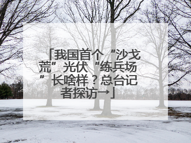 我国首个“沙戈荒”光伏“练兵场”长啥样？总台记者探访→