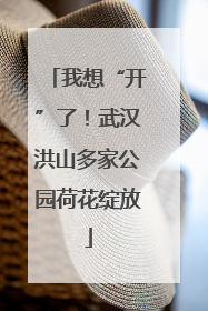 我想“开”了！武汉洪山多家公园荷花绽放
