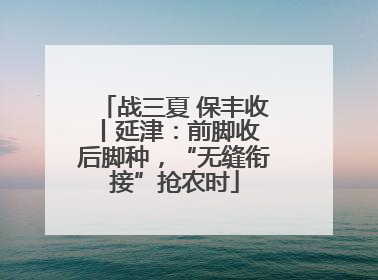 战三夏 保丰收丨延津：前脚收 后脚种，“无缝衔接”抢农时