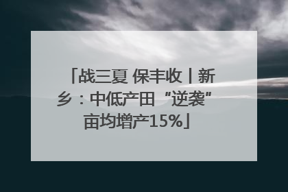 战三夏 保丰收丨新乡：中低产田“逆袭” 亩均增产15%