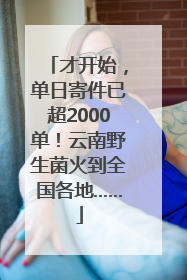才开始，单日寄件已超2000单！云南野生菌火到全国各地……