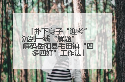 扑下身子“迎考” 沉到一线“解题”——解码岳阳县毛田镇“四多四好”工作法