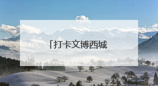 打卡文博西城 解锁端午楚韵