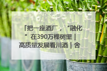 把一座酒厂，“融化”在390万棵树里｜高质量发展看川酒｜舍得酒｜舍得酒业｜舍得老酒｜沱牌酒