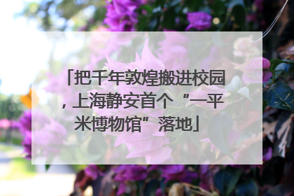 把千年敦煌搬进校园，上海静安首个“一平米博物馆”落地