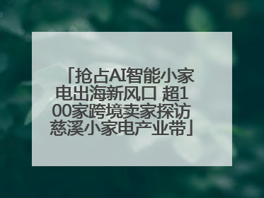抢占AI智能小家电出海新风口 超100家跨境卖家探访慈溪小家电产业带