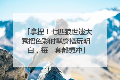 拿捏！七匹狼世遗大秀把色彩时髦穿搭玩明白，每一套都想冲