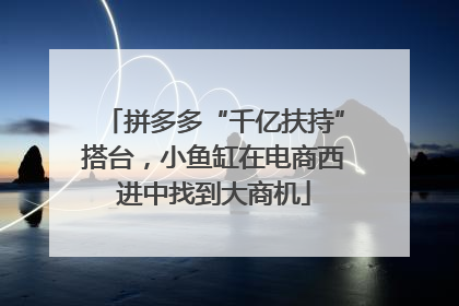 拼多多“千亿扶持”搭台，小鱼缸在电商西进中找到大商机