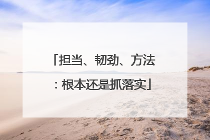 担当、韧劲、方法：根本还是抓落实