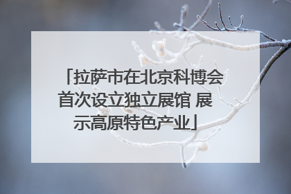 拉萨市在北京科博会首次设立独立展馆 展示高原特色产业