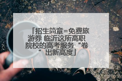 招生简章=免费旅游券 临沂这所高职院校的高考服务“卷”出新高度