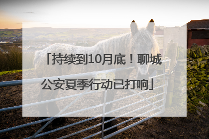 持续到10月底！聊城公安夏季行动已打响