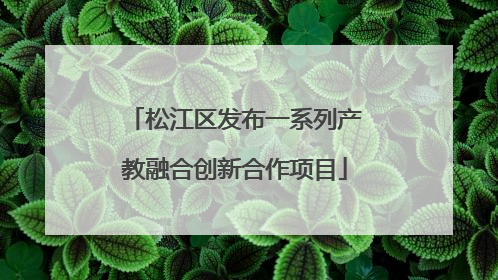 松江区发布一系列产教融合创新合作项目
