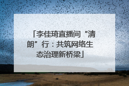 李佳琦直播间“清朗”行：共筑网络生态治理新桥梁