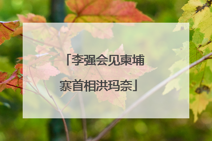 李强会见柬埔寨首相洪玛奈