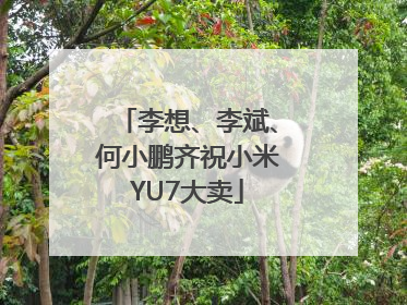 李想、李斌、何小鹏齐祝小米YU7大卖