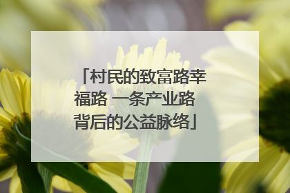 村民的致富路幸福路 一条产业路背后的公益脉络