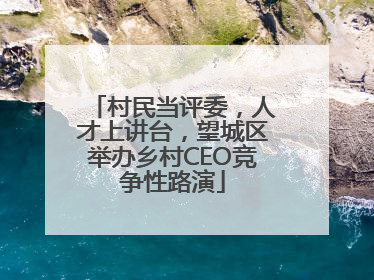 村民当评委，人才上讲台，望城区举办乡村CEO竞争性路演