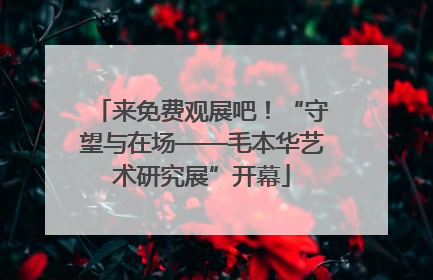 来免费观展吧！“守望与在场——毛本华艺术研究展”开幕