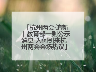 杭州两会·追新丨教育部一则公示消息 为何引来杭州两会会场热议