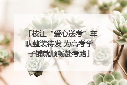 枝江“爱心送考”车队整装待发 为高考学子铺就顺畅赴考路