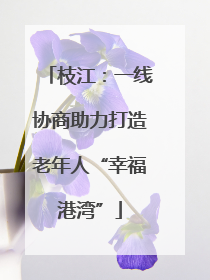 枝江：一线协商助力打造老年人“幸福港湾”