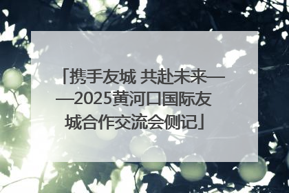 携手友城 共赴未来——2025黄河口国际友城合作交流会侧记