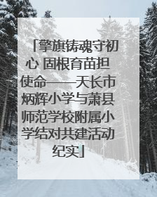 擎旗铸魂守初心 固根育苗担使命——天长市炳辉小学与萧县师范学校附属小学结对共建活动纪实