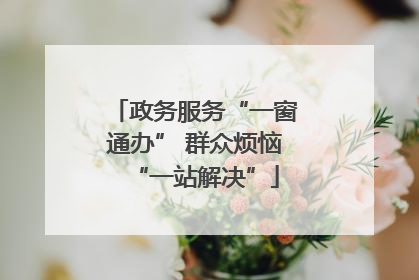 政务服务“一窗通办” 群众烦恼“一站解决”